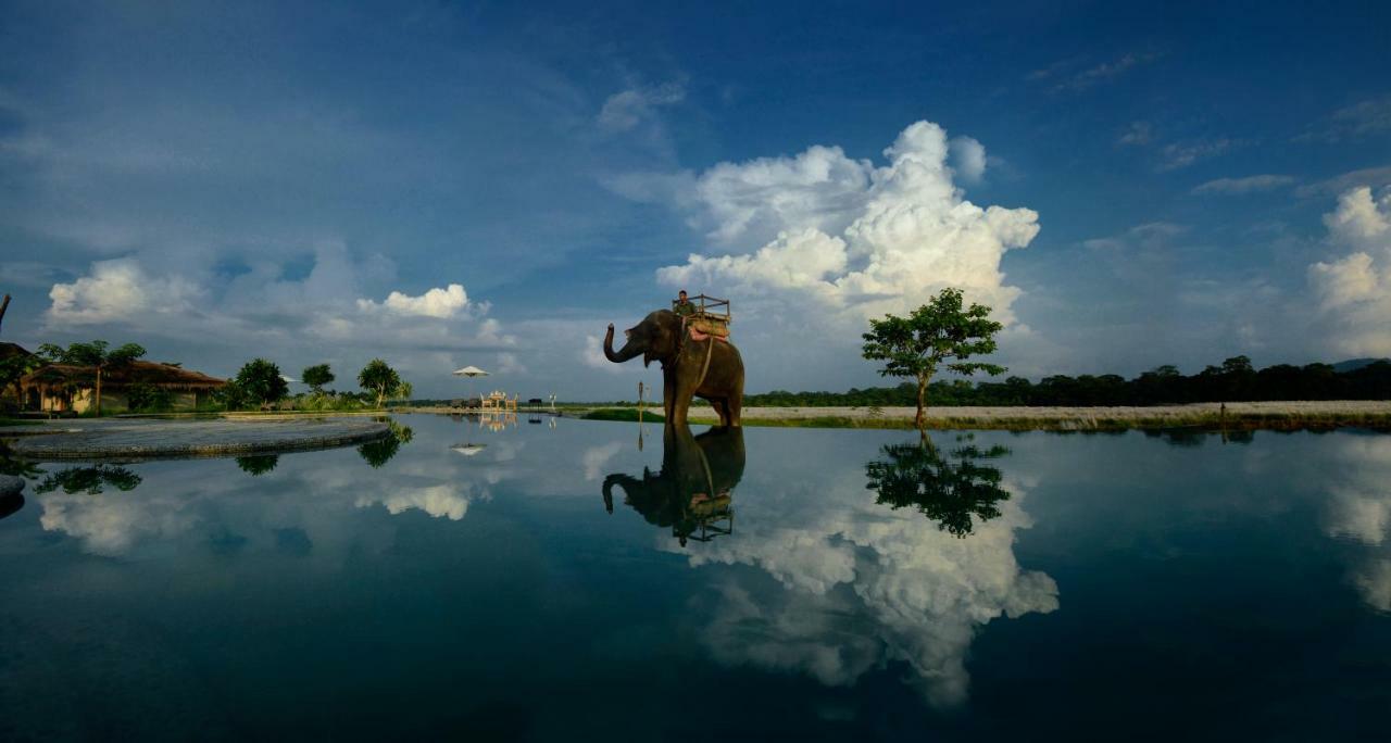 Barahi Jungle Lodge Meghauli Buitenkant foto